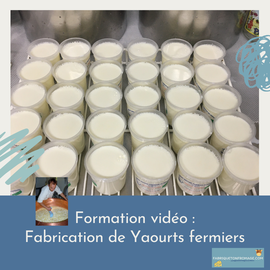 Ferments lyophilisés bio pour yaourt au lait de brebis - Nat-Ali